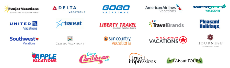 Curriculum vitae format in word picture